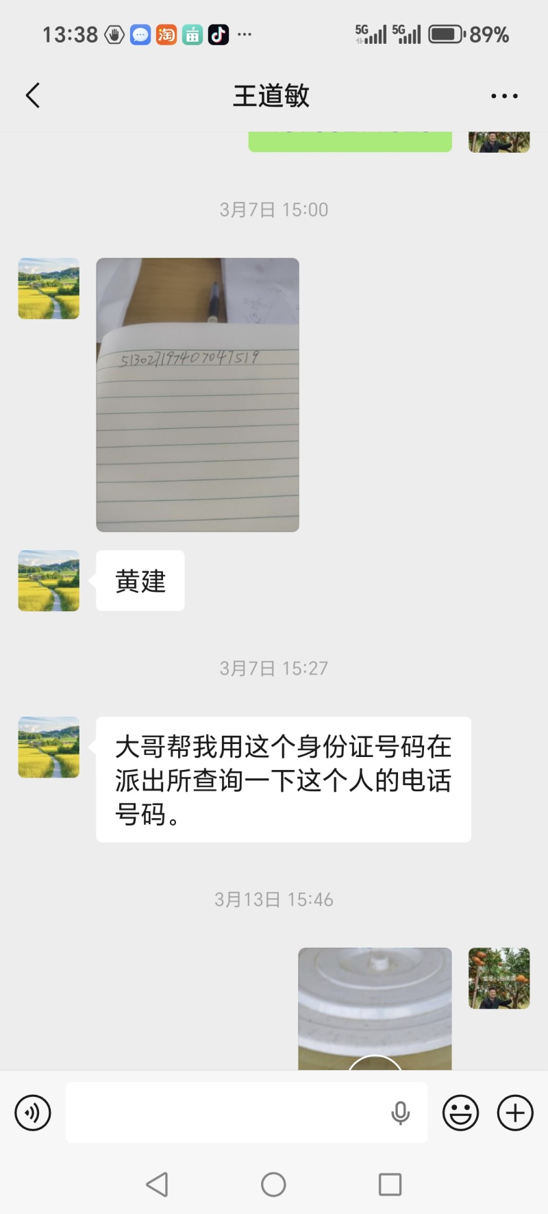 特早熟大芬柑橘苗，