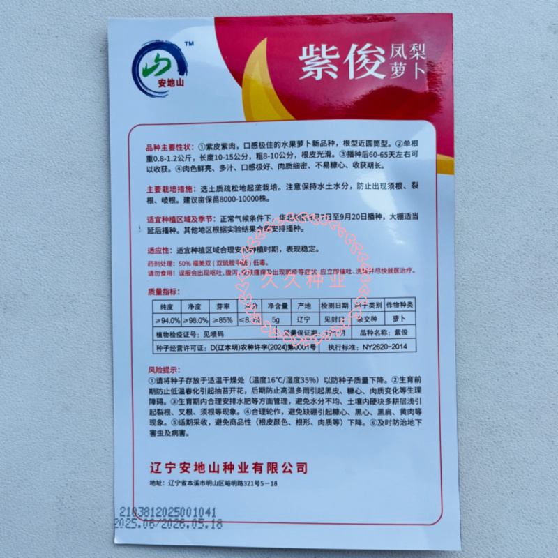 紫俊凤梨萝卜种子紫皮紫肉水果萝卜种籽肉质细密不易糠心罗卜