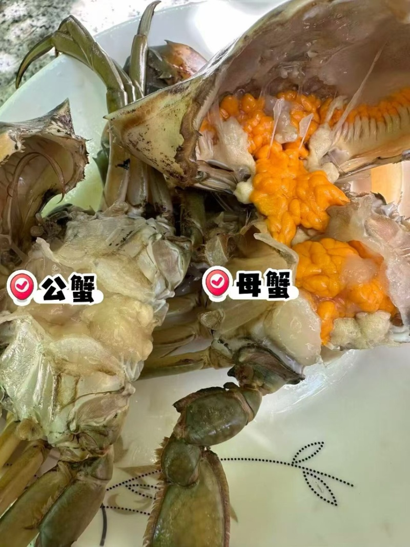 台州三门原产地鲜活青蟹膏满黄肥公母产地批发5斤起