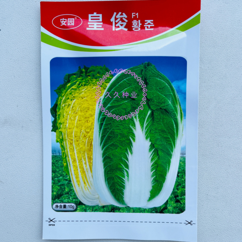 皇俊大白菜种子农家菜园黄心结球白菜种籽丰产抗病耐运白菜蔬