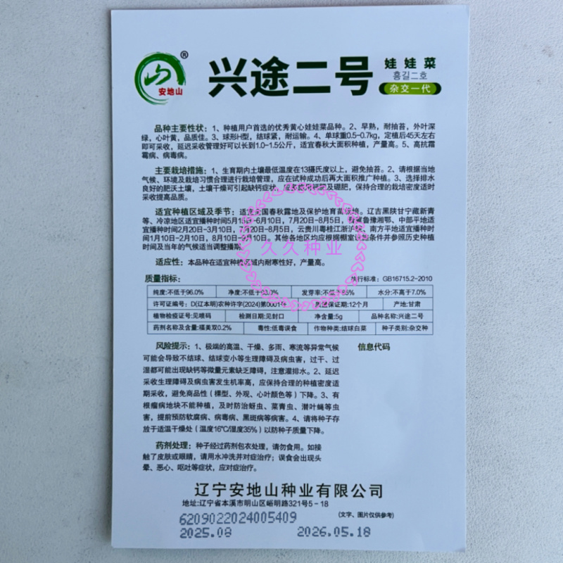 兴途二号娃娃菜种子杂交一代黄心娃娃菜熟耐抽薹高抗病