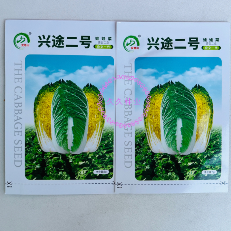 兴途二号娃娃菜种子杂交一代黄心娃娃菜熟耐抽薹高抗病