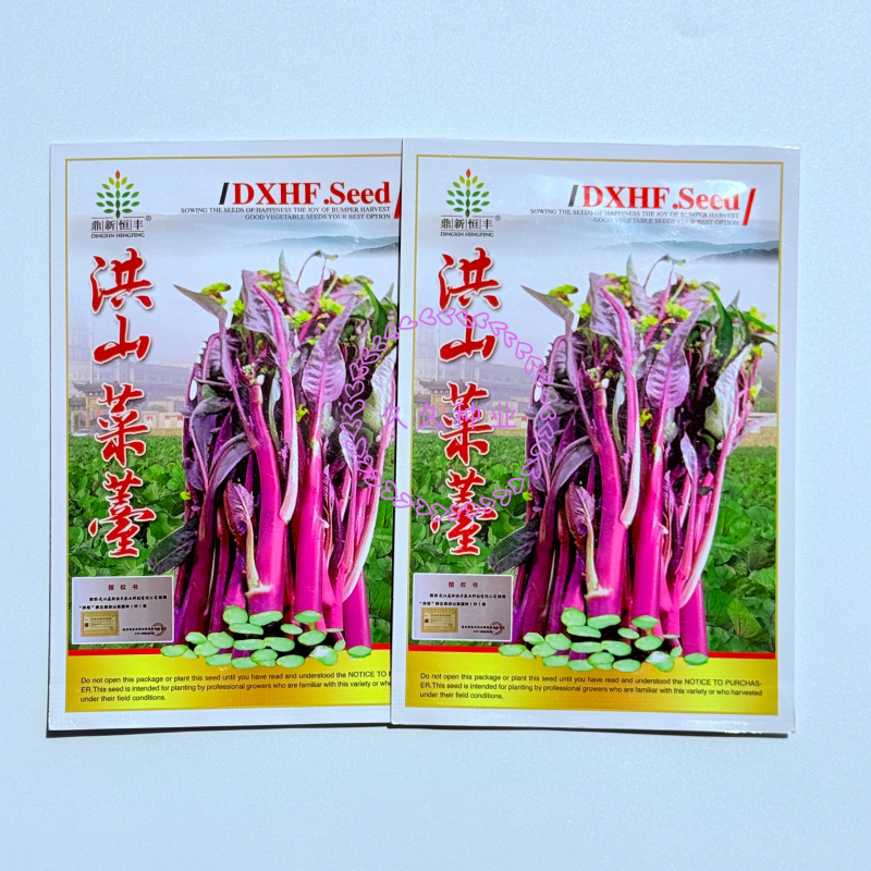 洪山菜苔种子红菜苔种甜脆耐热耐寒高产春夏秋冬四季蔬菜