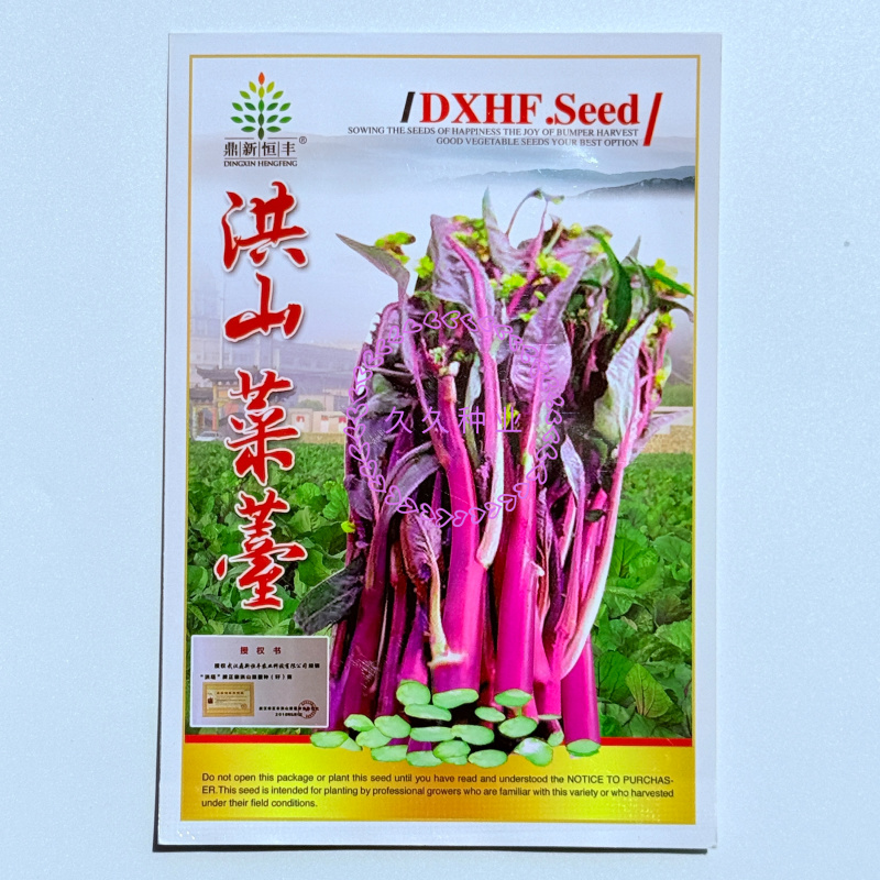 洪山菜苔种子红菜苔种甜脆耐热耐寒高产春夏秋冬四季蔬菜