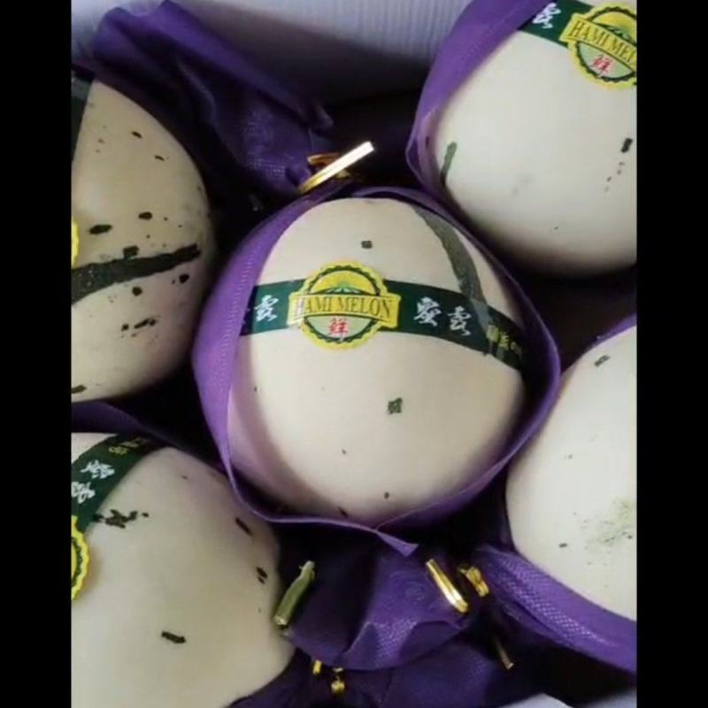 蜜露甜瓜蜜瓜甜瓜.产地供应，电商市场对接欢迎老板采购