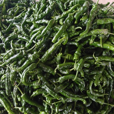 皱皮椒