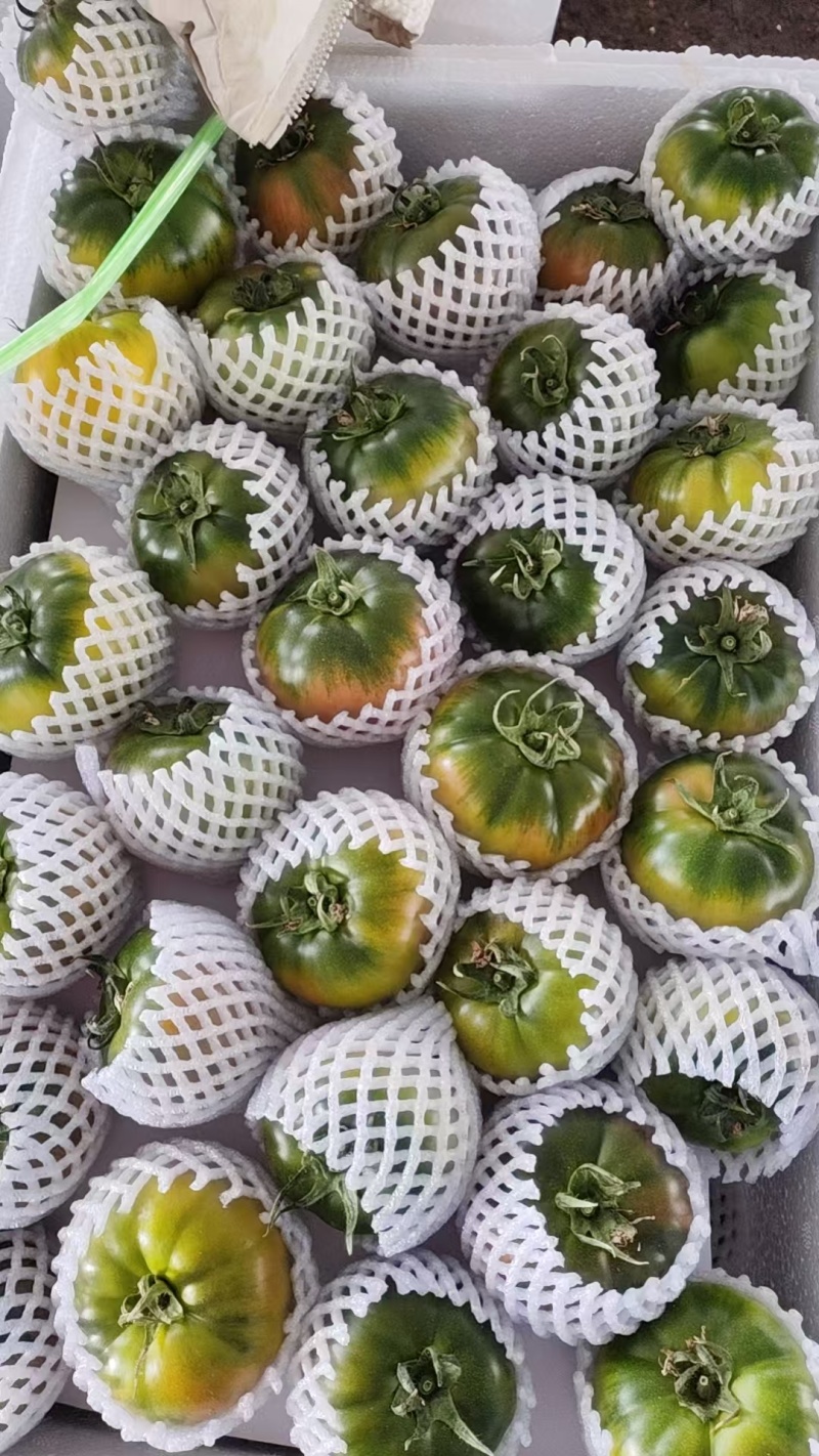 草莓西红柿草莓番茄现摘现发可加工各种规格大小包装商超礼盒