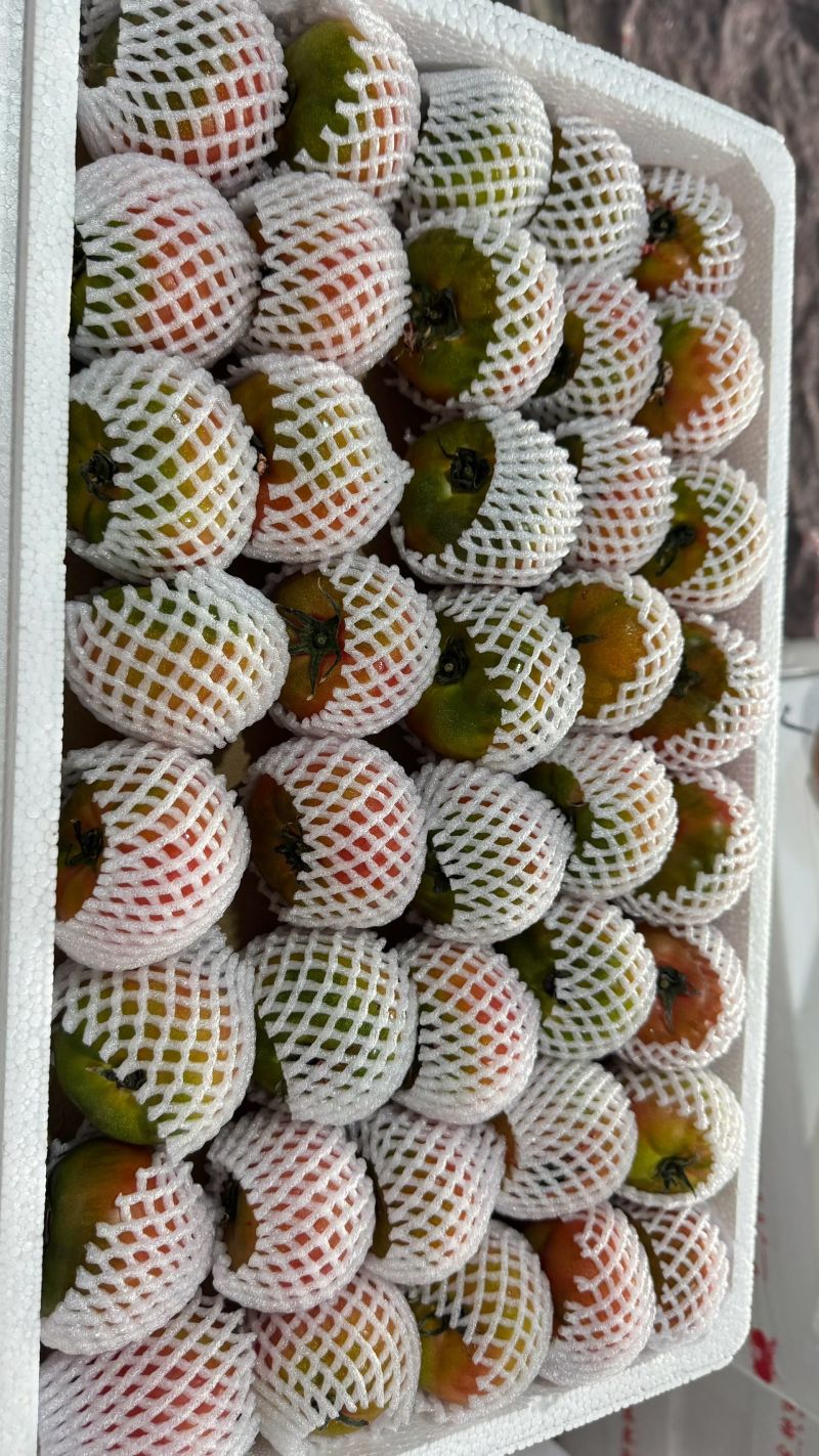 草莓西红柿草莓番茄现摘现发可加工各种规格大小包装商超礼盒