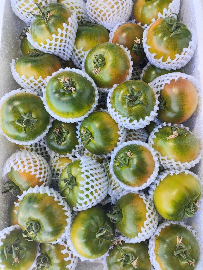 草莓西红柿草莓番茄现摘现发可加工各种规格大小包装商超礼盒