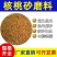 核桃壳厂核桃壳磨料核桃壳滤料核桃砂核桃粉大量现货
