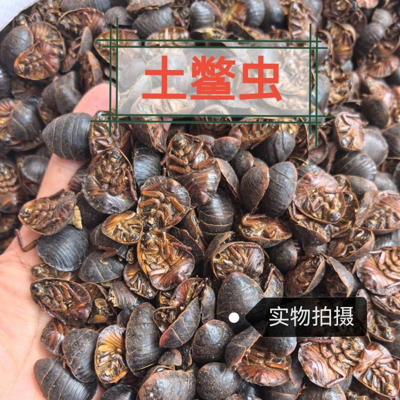 土元干货土鳖虫土元虫水洗中药材货真价实诚信经营