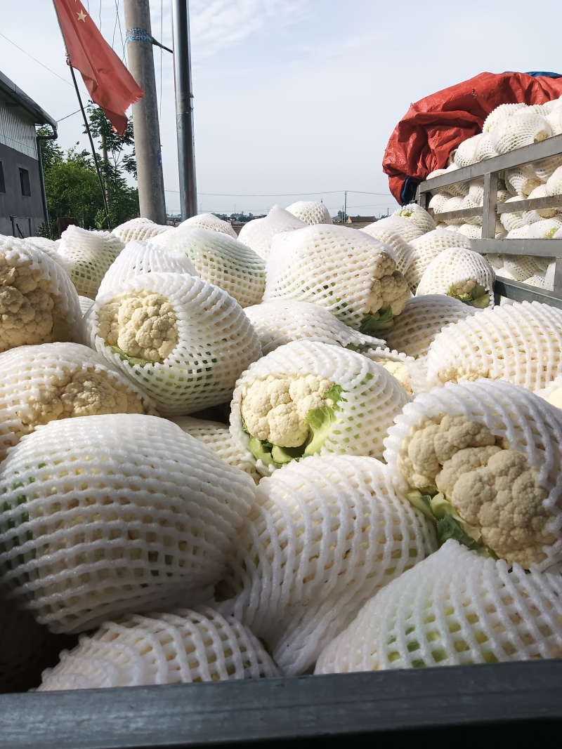 白花