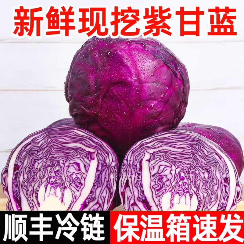 紫甘蓝产地看货论价保质保量欢迎订购支持发货