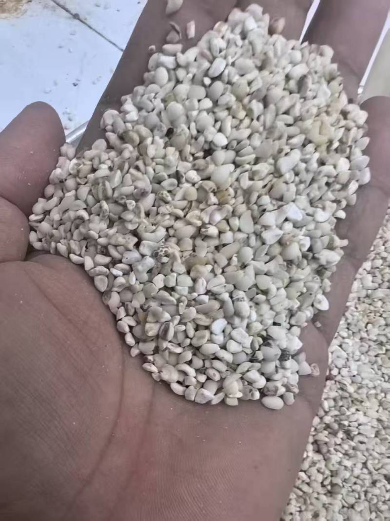 全国薏仁米之乡，小薏仁米，颗粒饱满