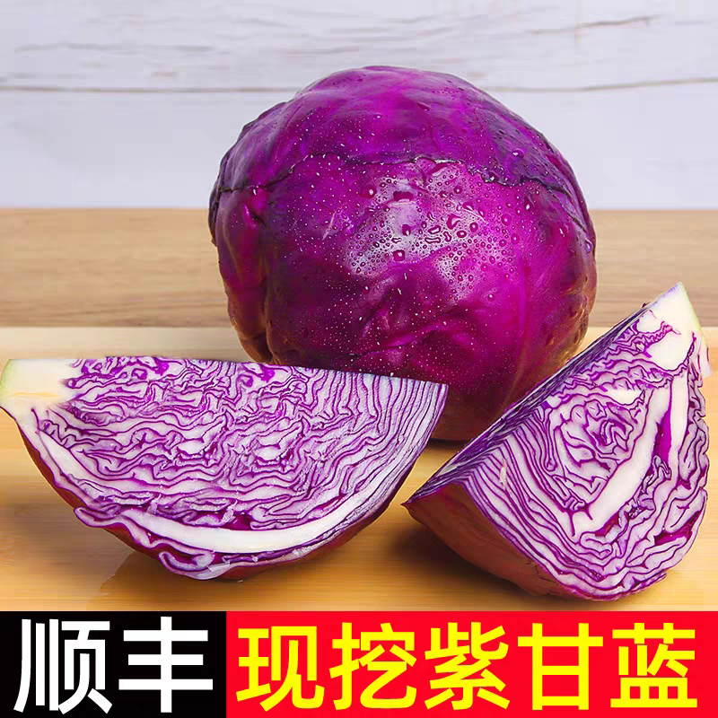 紫甘蓝产地一手货源支持视频看货打款发货