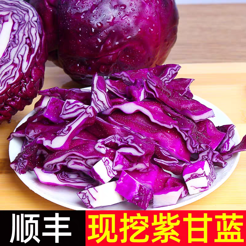 紫甘蓝产地一手货源支持视频看货打款发货