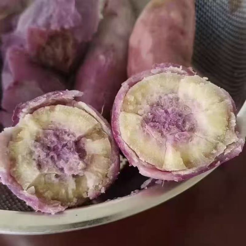 一点红阳江海边沙地红薯粉糯香甜原生态包邮