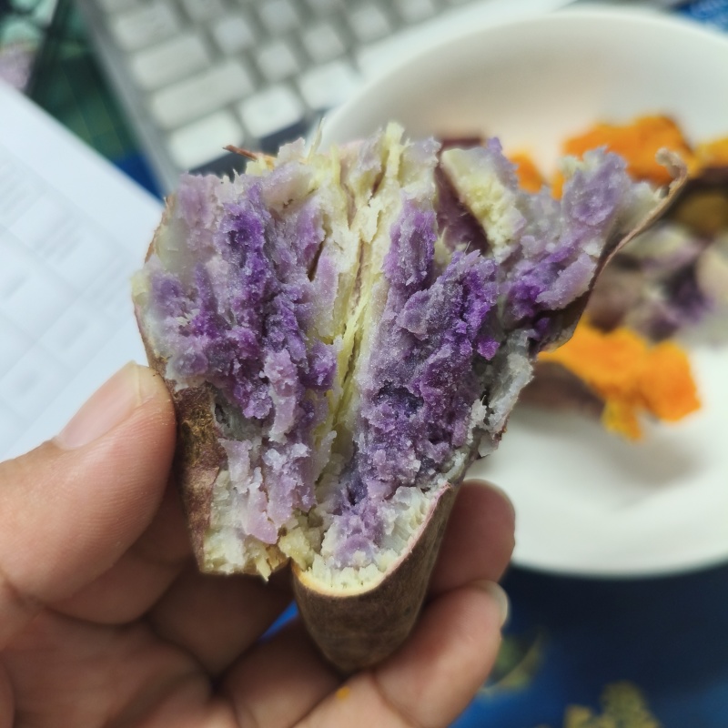 一点红阳江海边沙地红薯粉糯香甜原生态包邮