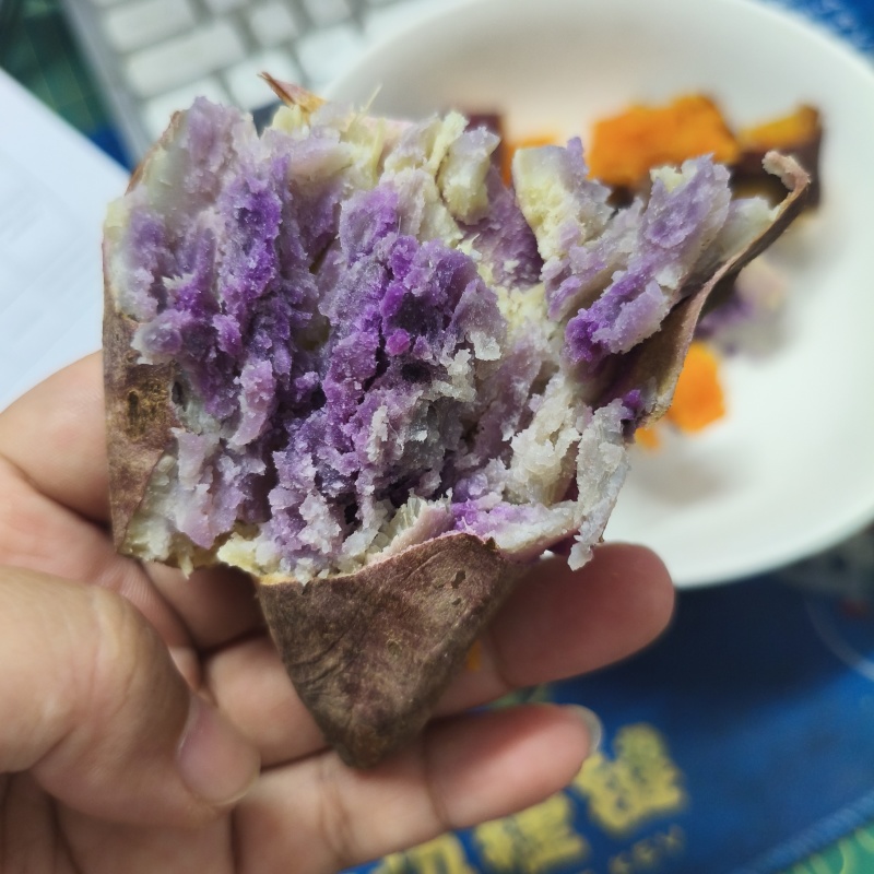 一点红阳江海边沙地红薯粉糯香甜原生态包邮