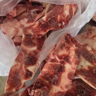 带肉牛月牙骨