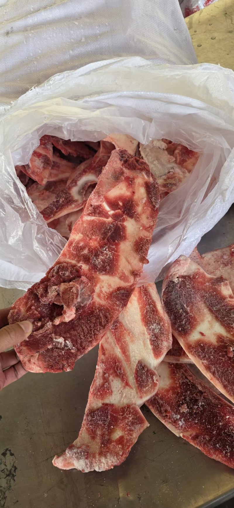 带肉牛月牙骨