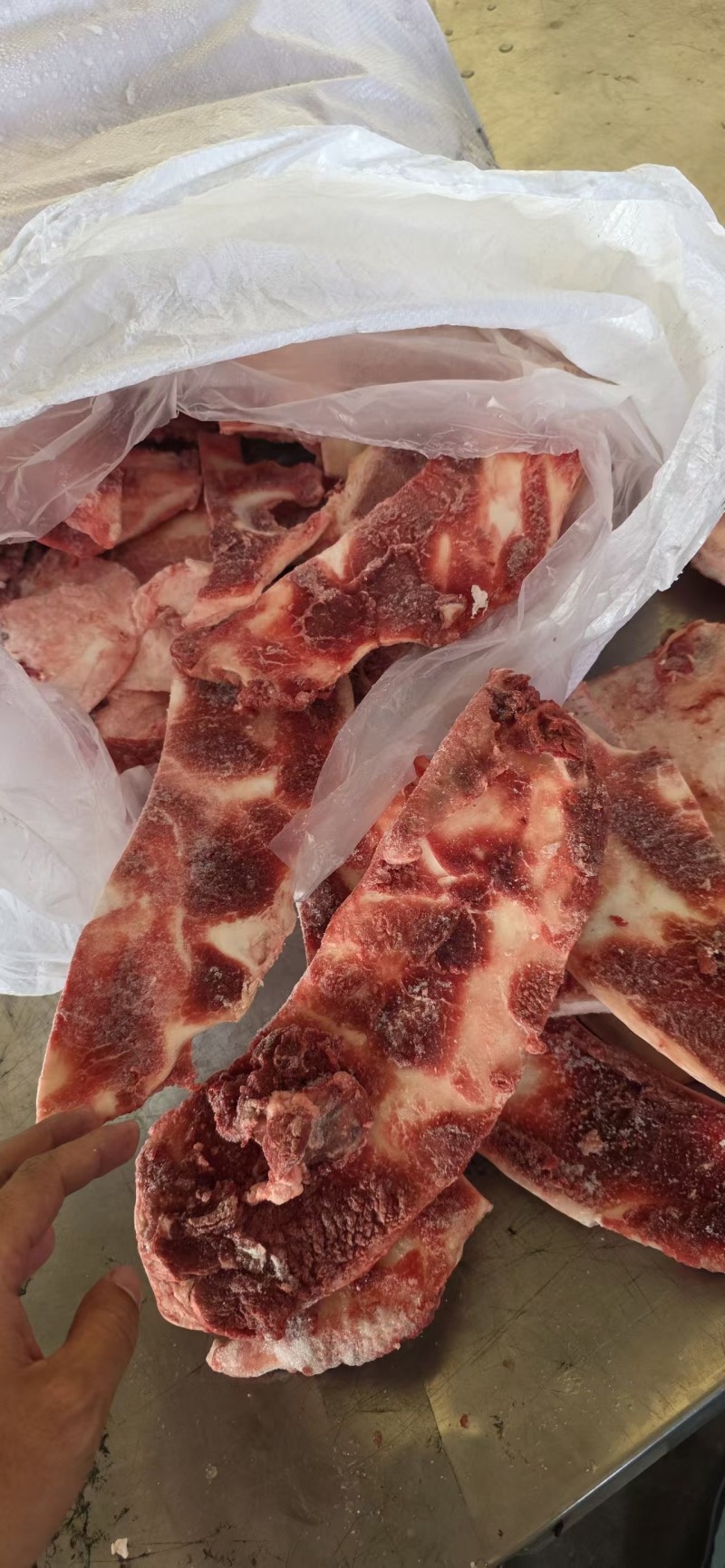 带肉牛月牙骨