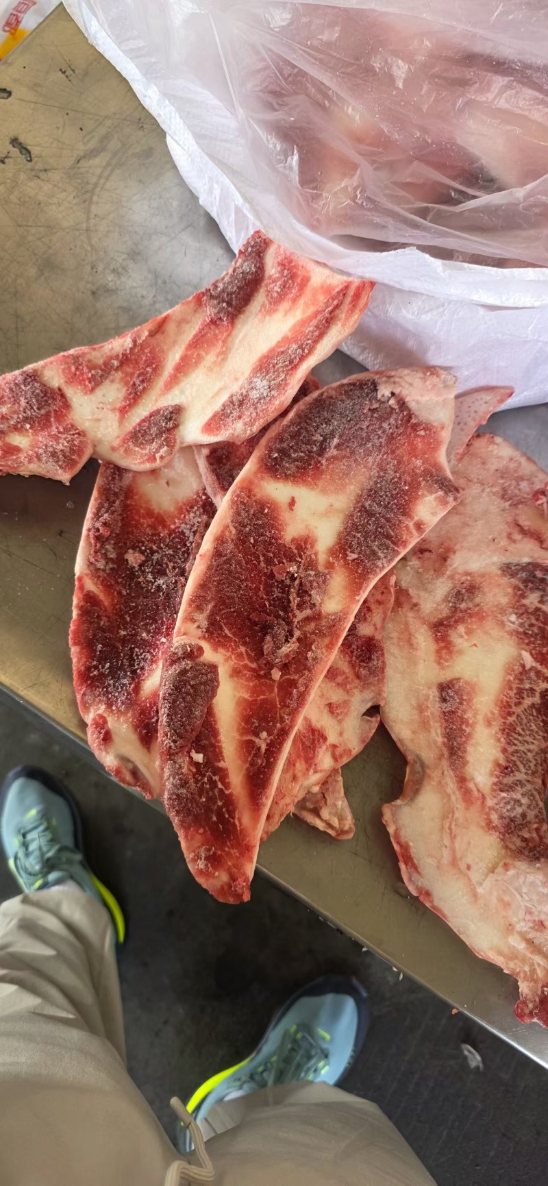 牛月牙骨