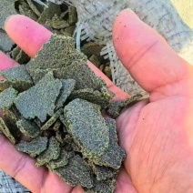 青饼大量供货