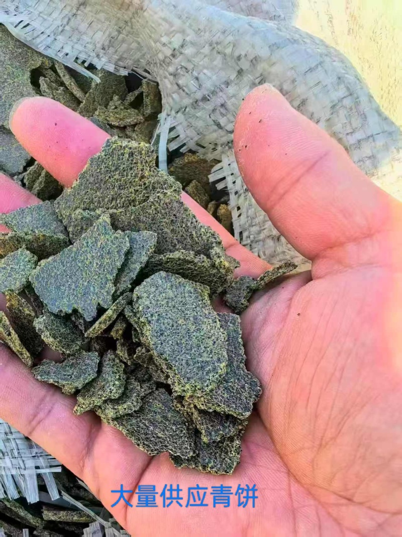 青饼大量供货