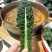 特色口感皱叶菜，榨汁专用，饮品加工菜，全国直发，产地直达