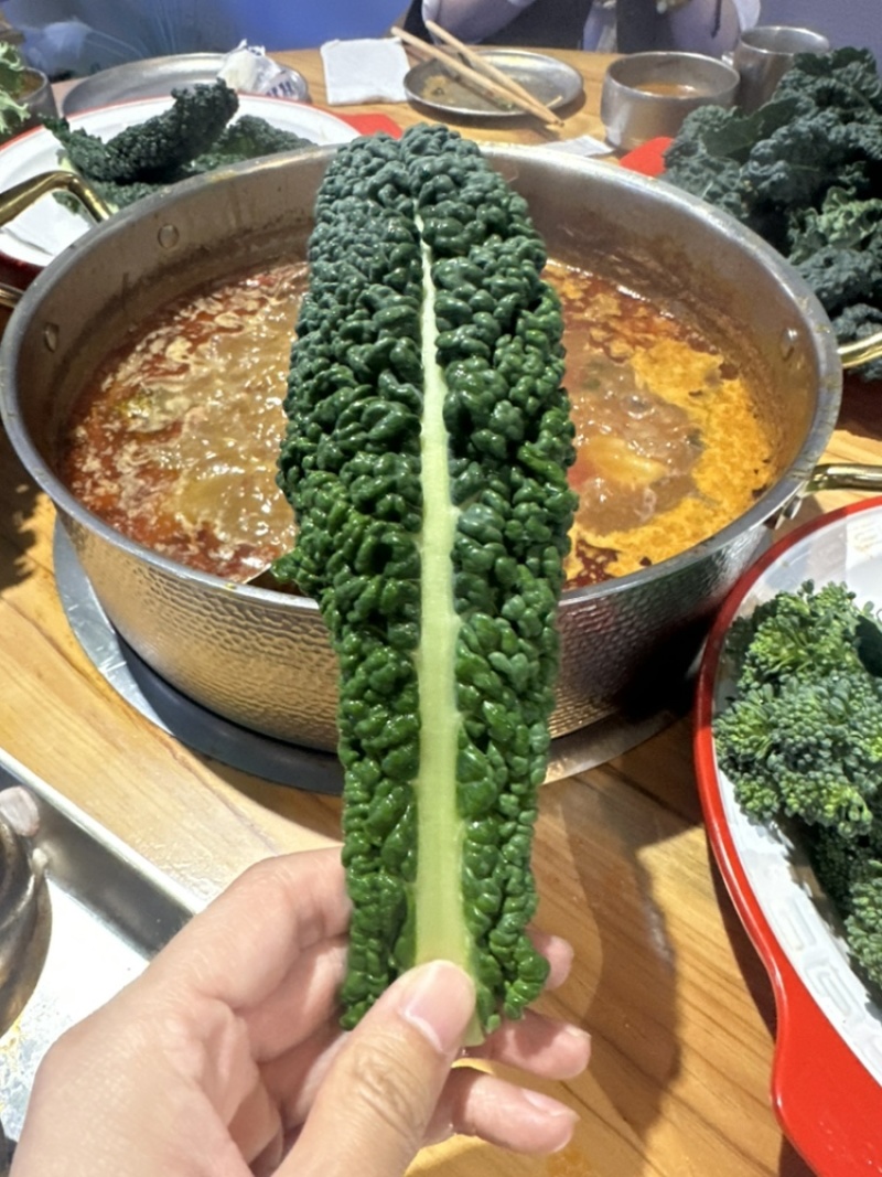 特色口感皱叶菜，榨汁专用，饮品加工菜，全国直发，产地直达