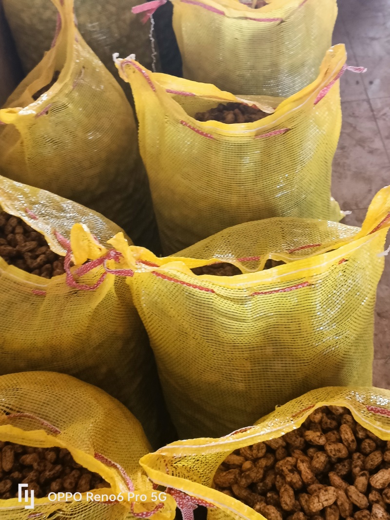 新鲜采摘花生，白皮，鲜货花生，大量供应