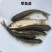 大草鱼苗可食用淡水皖鱼脆肉皖草鱼苗大小齐全规格