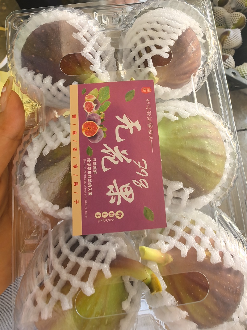 波姬红无花果