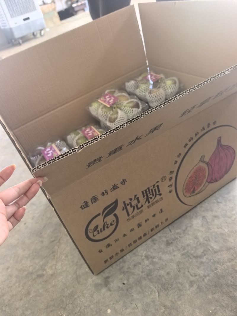 波姬红无花果