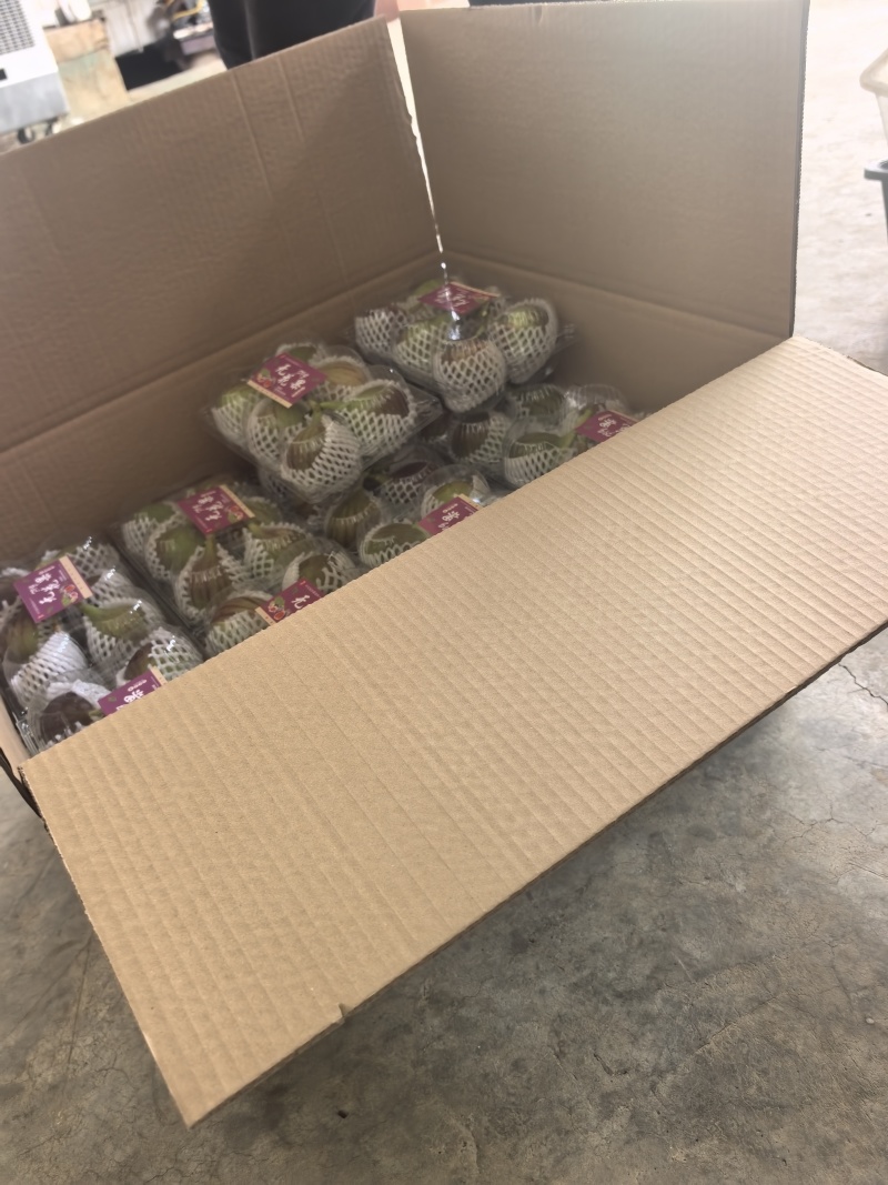 波姬红无花果