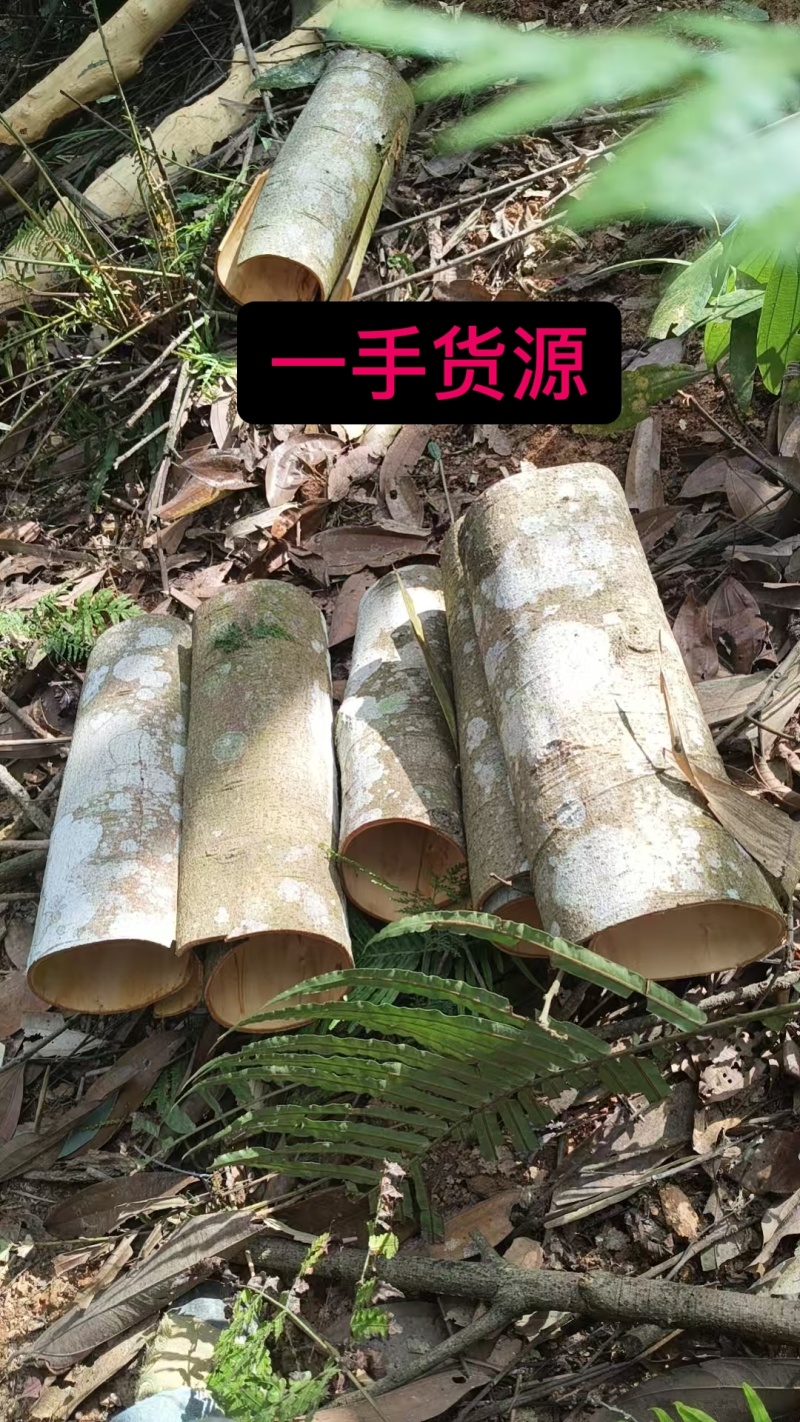 2026年新货厚肉桂皮老树桂皮卤香料可预定