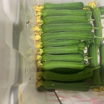 鲜花肉丝瓜