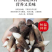 黑皮鸡枞菌