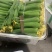 鲜花肉丝瓜