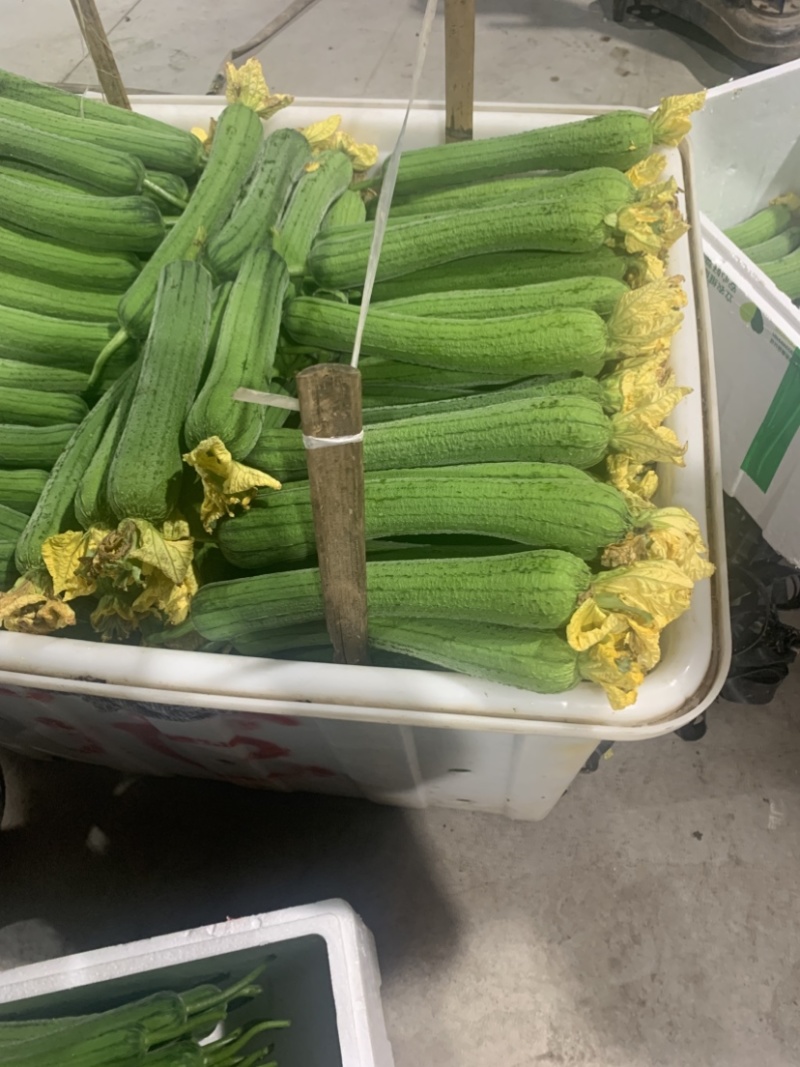 鲜花肉丝瓜
