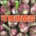 河北邯郸紫皮鲜大蒜/产区直发/货源充足/欢迎购买