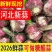 河北邯郸紫皮鲜大蒜/产区直发/货源充足/欢迎购买