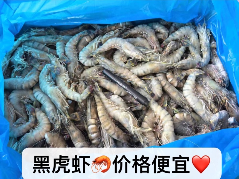 黑虎虾，一手货源，价格优势