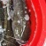 贵州鲶鱼土鲶鱼大量有货可视频看货欢迎联系