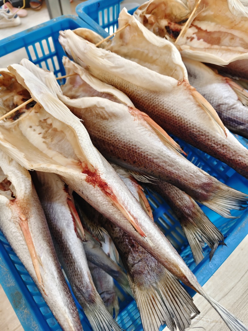 青岛特色大鲈鱼干海鲈鱼淡晒的不咸风干晾晒鱼干