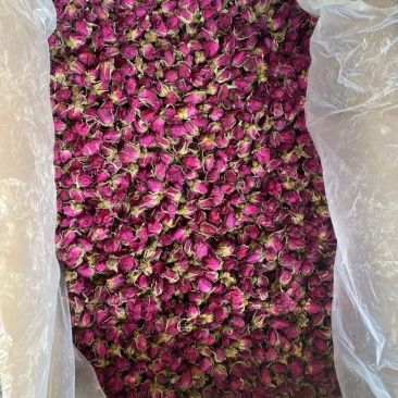玫瑰花花蕾，花冠