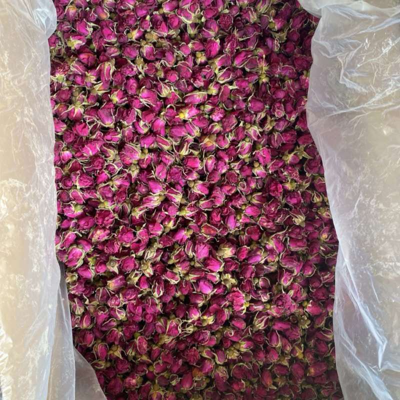 玫瑰花花蕾，花冠