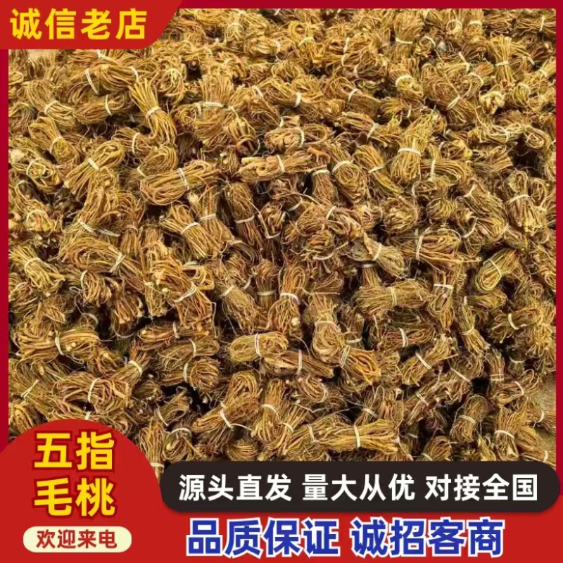 山东菏泽五指毛桃中药材批发供应品种齐全地道药材
