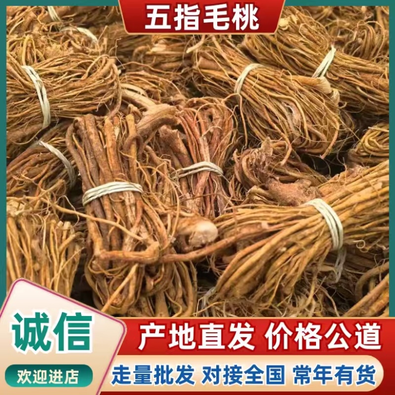 山东菏泽五指毛桃中药材批发供应品种齐全地道药材